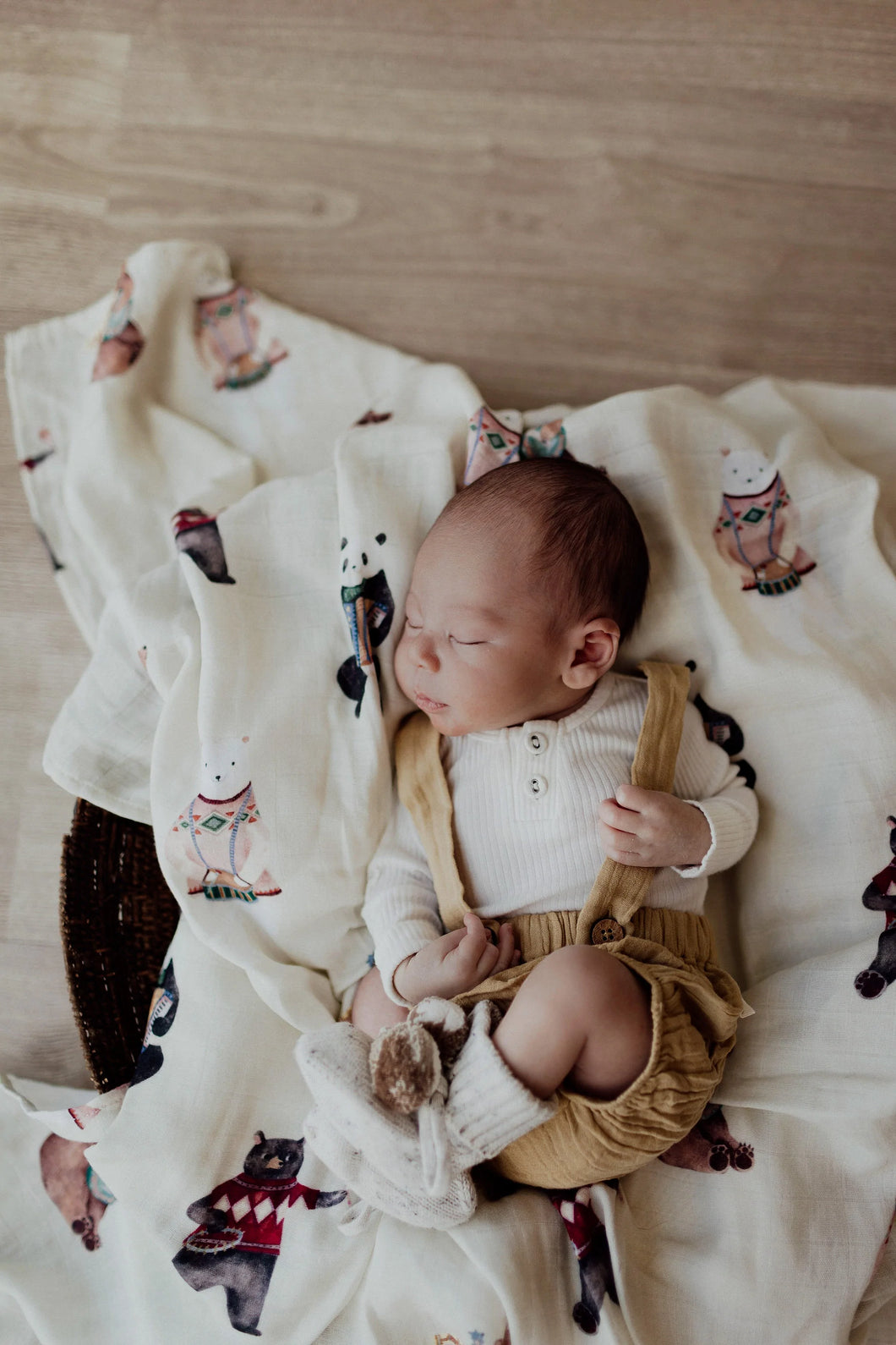 Musical Ted Swaddle